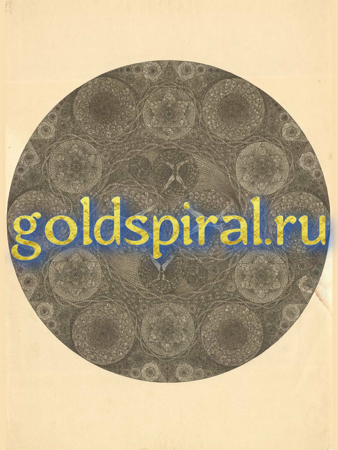 96.Окозавр 96.Окозавр